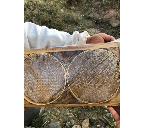  Organik Karakovan Petek Bal- 1350 gr